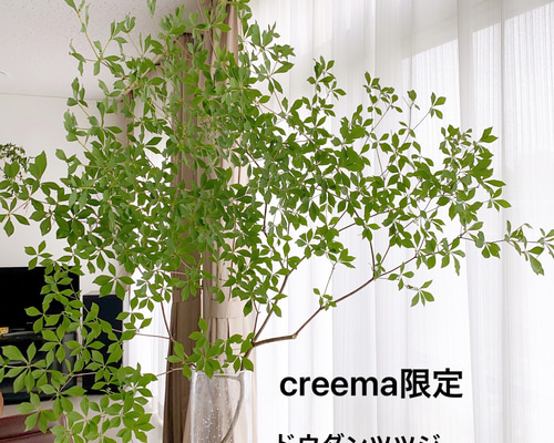 3842a4abb8d46847150ef40a577a5c