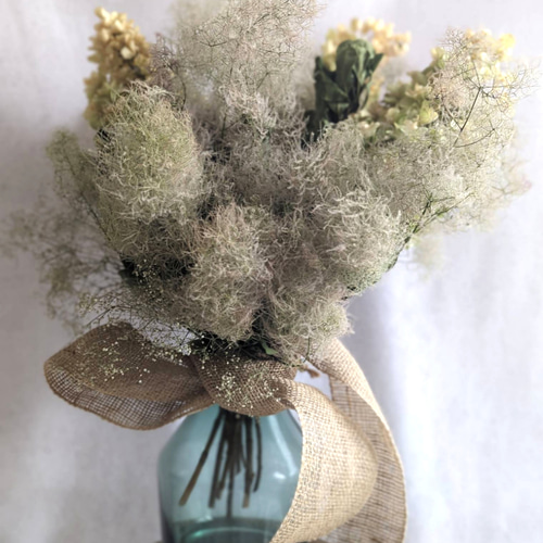 ポイント2倍 スモークツリー もふもふ フライングリース ② L φ30cm