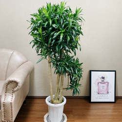 14b4dcb9a9e60f8a3de13bc2492f2b