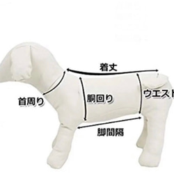 犬用 ウォータークールバンダナ　保冷剤を入れるポケット付き　水で濡らしてひんやり　プチレモン 3枚目の画像