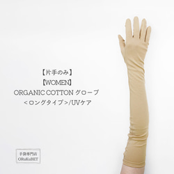 【片手のみ 50％OFF】ORGANIC COTTON グローブ ＜ロングタイプ＞/ UVケア【WOMEN】 1枚目の画像