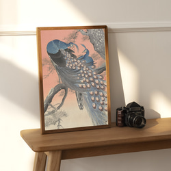 【NO.337】孔雀と桜の日本画アートポスター☆鳥浮世絵和室インテリア和柄お正月ハガキ2L判A4A3A2A1B4B3B2 7枚目の画像
