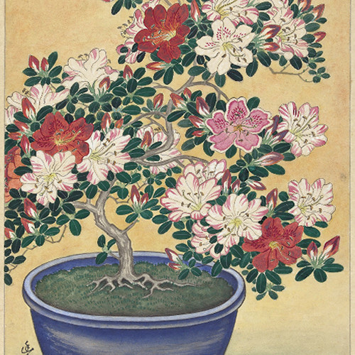 NO.353】躑躅の花の鉢植え日本画アートポスター☆ツツジ和柄