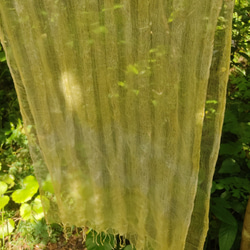 屋久島の草木染めシルクストール二重ストライプ（ウコン染めイエロー） 7枚目の画像