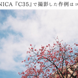 【完動品】【3ヶ月保証】オールドフィルムカメラ　コニカ　KONICA C35 S/N 859066 m041 8枚目の画像