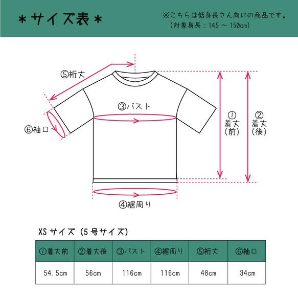 低身長さんのためのダブルガーゼのリブ衿Tブラウス＊koubako-neko＊XSサイズ【受注制作】 9枚目の画像