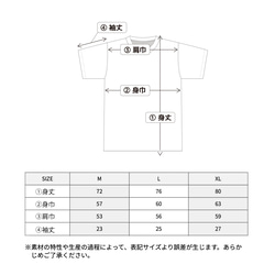  第12張的照片