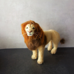 ライオン　ナルニア国物語　物語　野生動物　羊毛フェルト　ブライス　ドール 5枚目の画像