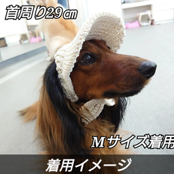 犬の帽子 耳出しキャップ 11枚目の画像