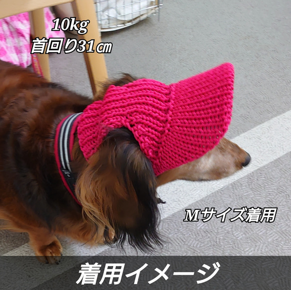 犬の帽子 耳出しキャップ 12枚目の画像