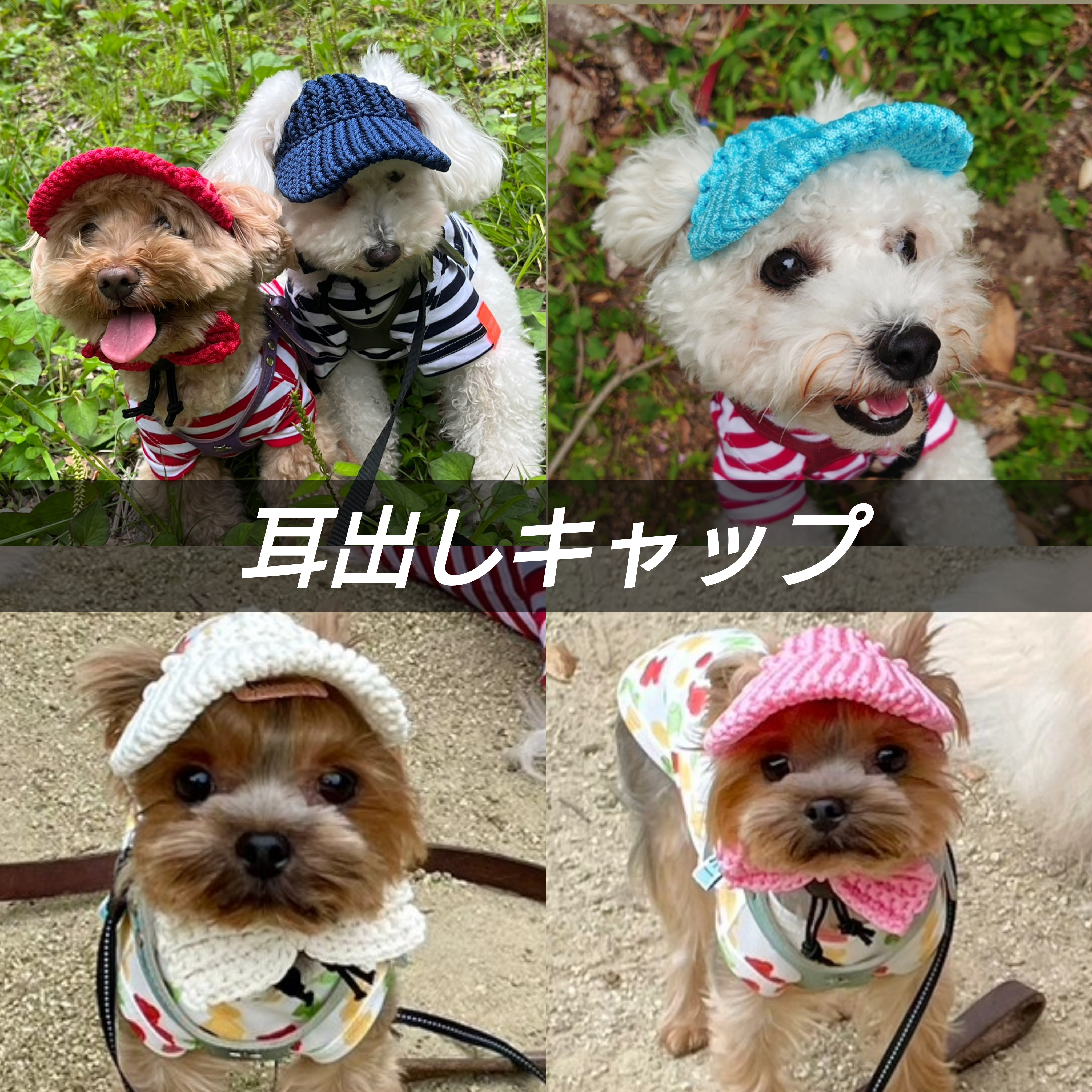 犬の帽子 耳出しキャップ ペット服・アクセサリー Na☆Rura 通販 ...