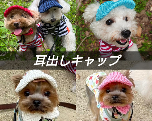 Rinarina様❤️お耳付き帽子♡メッシュ♡コットン♡ハンドメイド犬服 Rinarina様❤️お耳付き帽子♡メッシュ♡コットン♡ハンドメイド