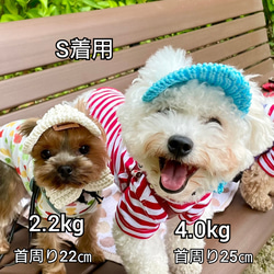 犬の帽子 耳出しキャップ 9枚目の画像