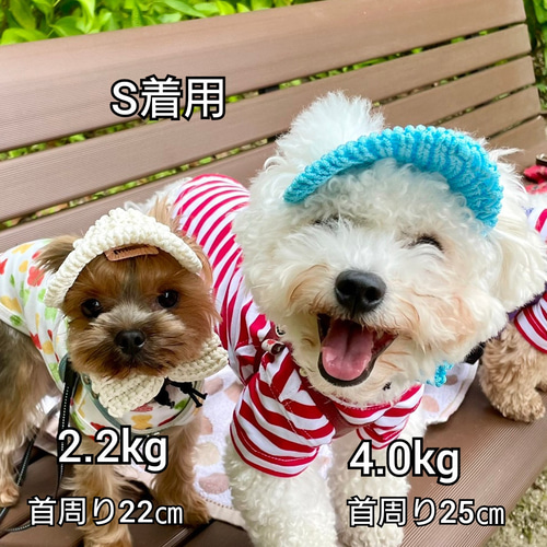犬の帽子 耳出しキャップ ペット服・アクセサリー Na☆Rura 通販