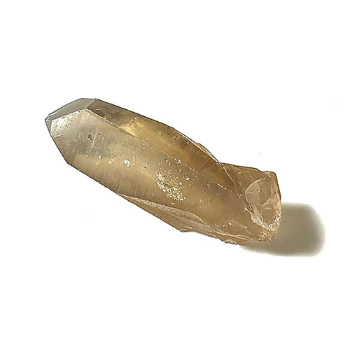 ロシアンレムリアン　スモーキー ロシアンレムリアン | 榎本通商