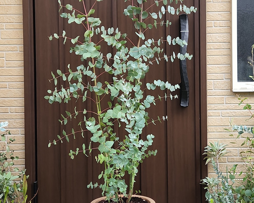 eb84a5cfb4b64021569635899f032d