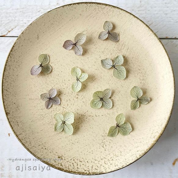 あじさい　花びら【国産　アナベル・オレガノパープル　30枚】あじさいのお福分け　 ＜ アジサイ 紫陽花 ＞ 2枚目の画像