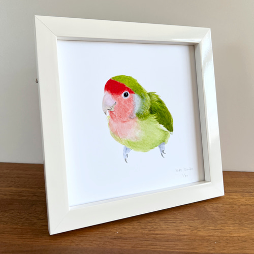 高品質の激安 p-jet 正方形 数量限定直筆サイン入り複製画 コザクラインコ 工芸ガラス