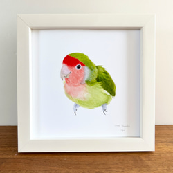 インコ 絵画 のおすすめ人気通販｜Creema(クリーマ) 国内最大の
