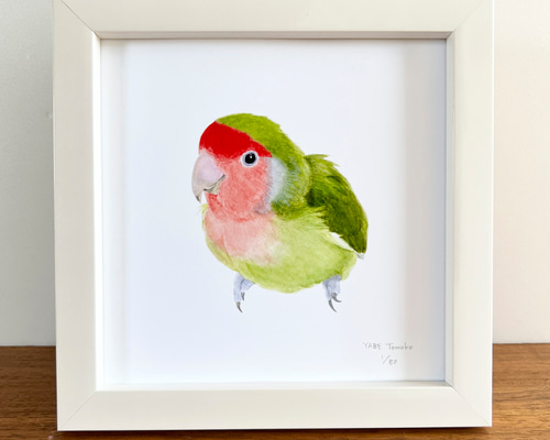 限定品 カグユヅ 直筆サイン入り複製イラスト da899054f3be1576b3c5c625ae5519