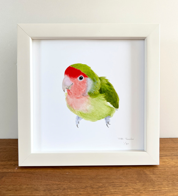 WAY OF THE BIRD 直筆サイン入り p-jet 正方形 数量限定直筆サイン入り複製画 コザクラインコ / 鳥