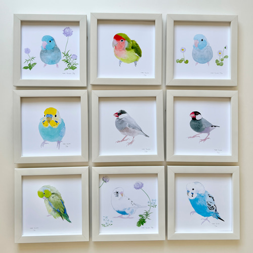 p-jet 正方形 数量限定直筆サイン入り複製画 セキセイインコ