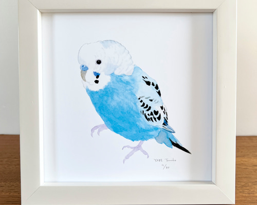 最も優遇の p-jet セキセイインコ 数量限定直筆サイン入り複製画 正方形 その他