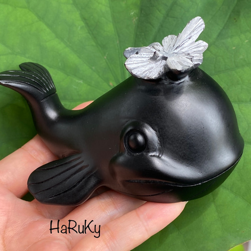 お花を咲かせたクジラくん♡菊花石（きっかせき、chrysanthemum