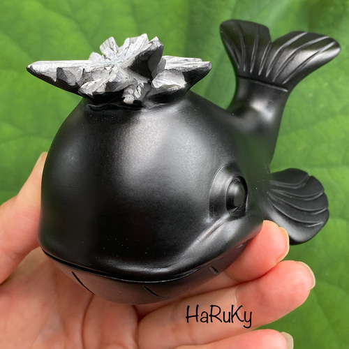 お花を咲かせたクジラくん♡菊花石（きっかせき、chrysanthemum