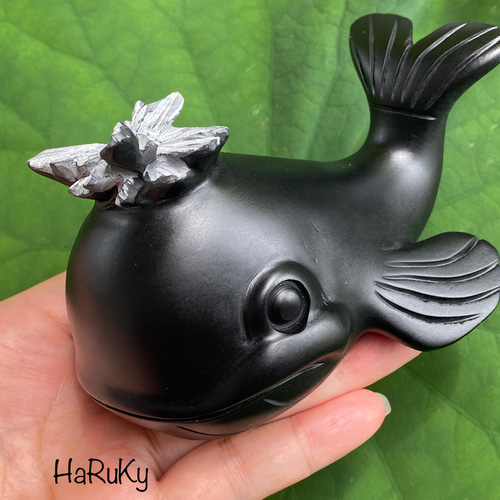 お花を咲かせたクジラくん♡菊花石（きっかせき、chrysanthemum