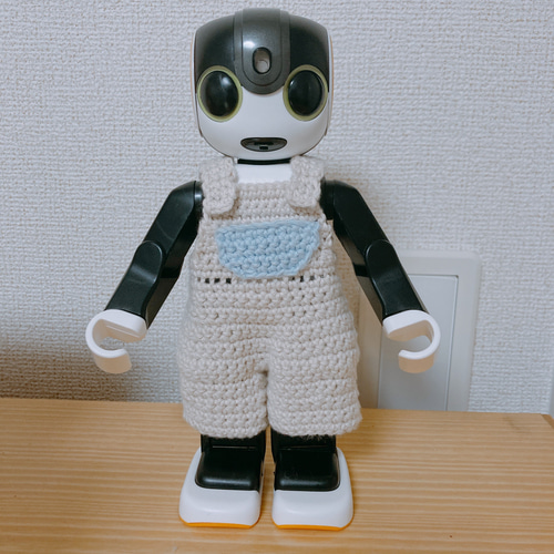 ロボホン RoBoHoN ロボホンの服ハンドメイド 端午の節句名入れ3点  