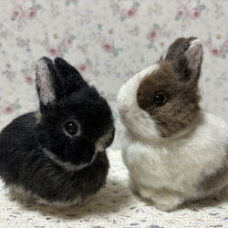 うさぎ 羊毛フェルト ダッチ ブラック ハンドメイド 羊毛うさぎM*ダッチブラック*立ち耳*毛づくろい（お祈り