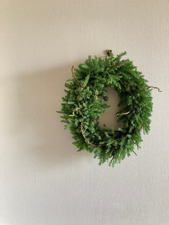 受注制作】森のリース ~青みがかった杉の若葉 リース 音の庭 ~dried