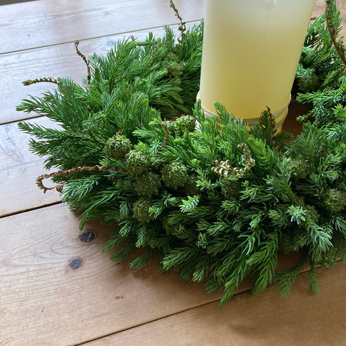 受注制作】森のリース ~青みがかった杉の若葉 リース 音の庭 ~dried
