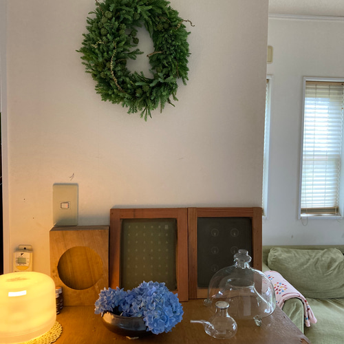 受注制作】森のリース ~青みがかった杉の若葉 リース 音の庭 ~dried