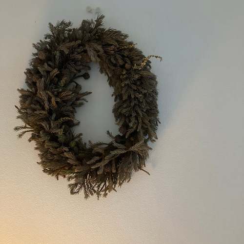 受注制作】森のリース ~青みがかった杉の若葉 リース 音の庭 ~dried