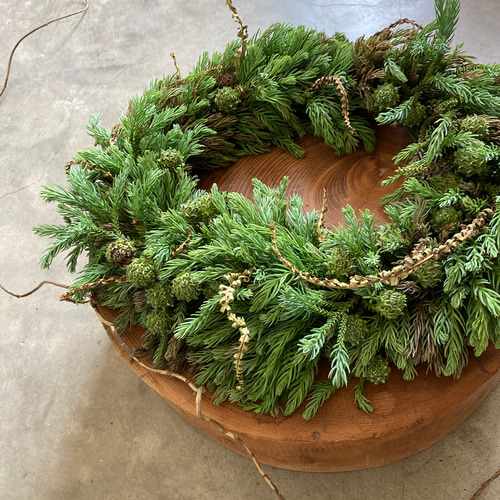 受注制作】森のリース ~青みがかった杉の若葉 リース 音の庭 ~dried