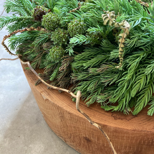 受注制作】森のリース ~青みがかった杉の若葉 リース 音の庭 ~dried