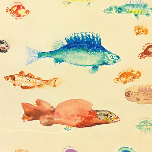 JENNIFER MARKES カラフルな海と魚をテーマにしたポスター 楽天市場】クラゲ ポスター シーサイド マリンスタイル ジェリー