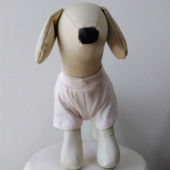 犬服・綿ニット生地を使った小型犬サイズラグランスリーブプルオーバー 1枚目の画像