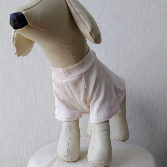 犬服・綿ニット生地を使った小型犬サイズラグランスリーブプルオーバー 2枚目の画像
