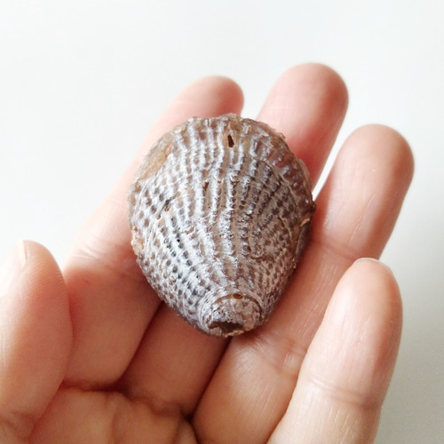 水入り 瑪瑙 a-2 62JEB502 アクティブウォーマージャケット 【返品・交換不可