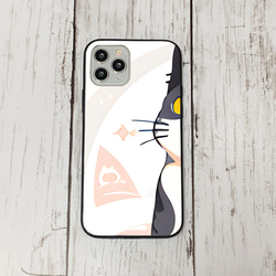 iphoneケース1-3-10 iphone 強化ガラス ねこ・猫・ネコ 箱2 かわいい アイフォン iface 1枚目の画像