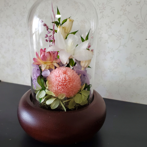 プリザーブドフラワー仏花対ガラスドーム大輪菊 5fcd0abfd0c89df19604fc95db9481