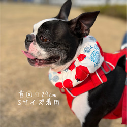 【トマト柄】犬用　クールネック　クールスヌード　クールバンダナ 5枚目の画像