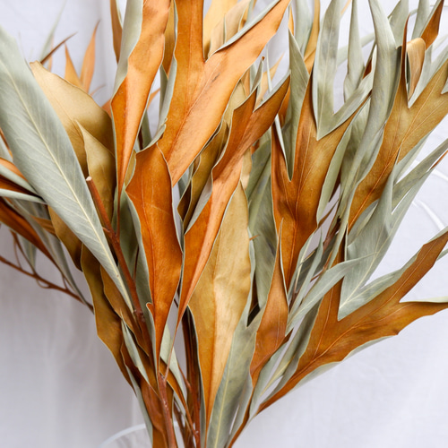 ドライフラワー❇️グレビレアゴールド❣️長め ドライフラワー］グレビレアゴールド商品ページ - 土と風の植物園