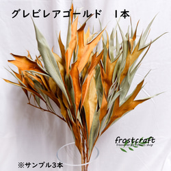 フリーズドライフラワー グレビレア ゴールド1本 大きい60㎝ ドライ