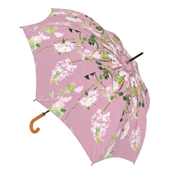 八重桜とメジロの雨傘　アンティークピンク　梅雨対策2023 12枚目の画像