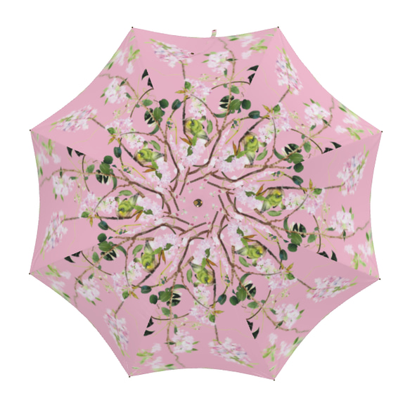 【受注生産】八重桜とメジロの雨傘　アンティークピンク　梅雨対策2023 2枚目の画像