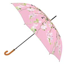 【受注生産】八重桜とメジロの雨傘　アンティークピンク　梅雨対策2023 1枚目の画像